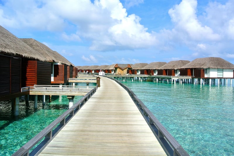 Tropical Paradise Glamping